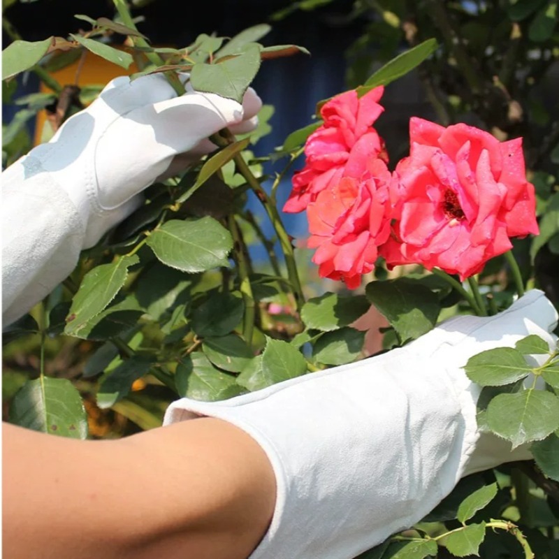 Un Par de Guantes de Jardinerí - Gardening Glove Waterproof reseña y precio