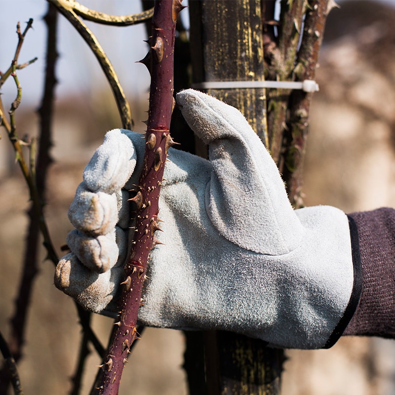 Un Par de Guantes de Jardinerí - Gardening Glove Waterproof reseña y precio